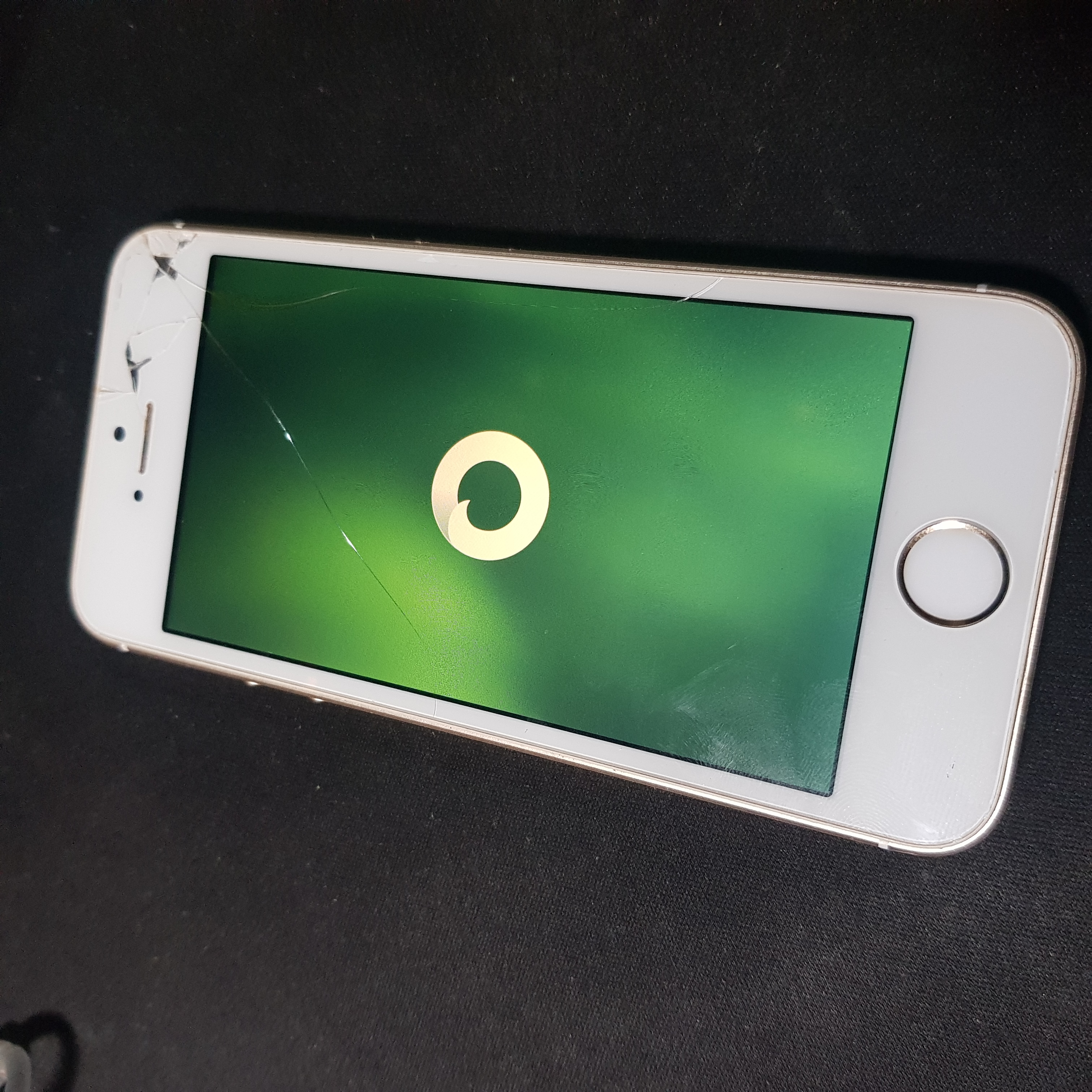 iPhone SE (1st gen) #2